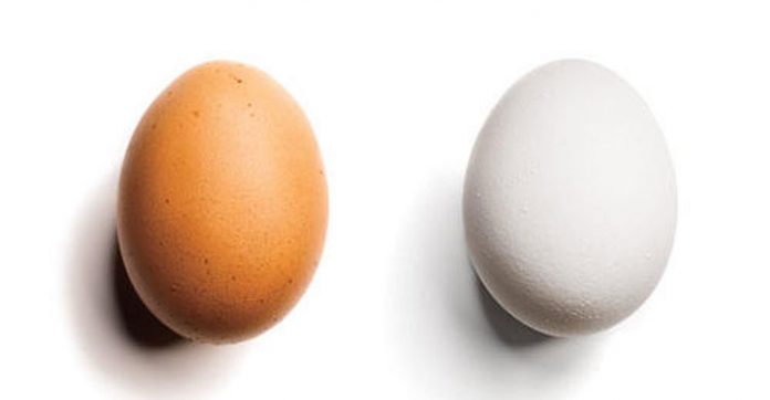 Ovo Branco ou Ovo Marrom: Qual é a Diferença e Qual Deles é Melhor?